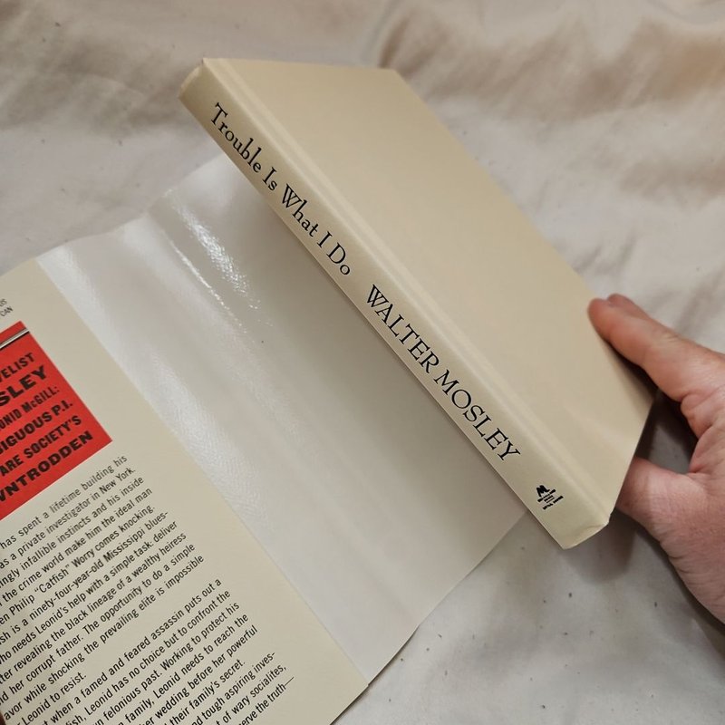 Trouble Is What I Do