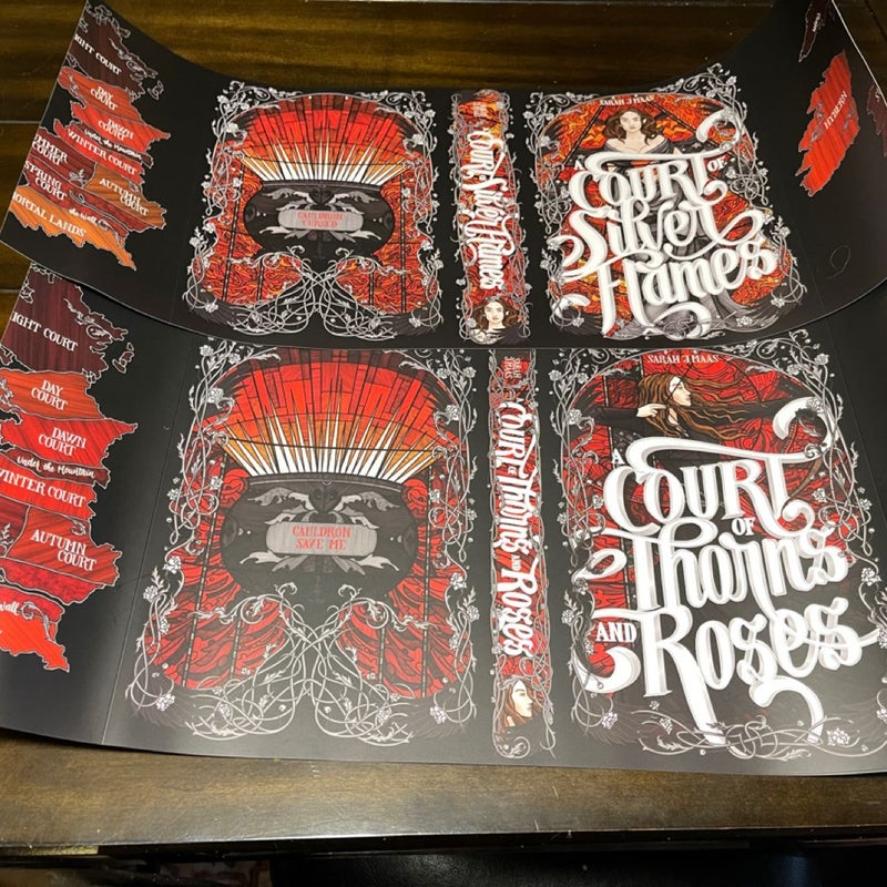 Nerdy Ink ACOTAR Dust jackets