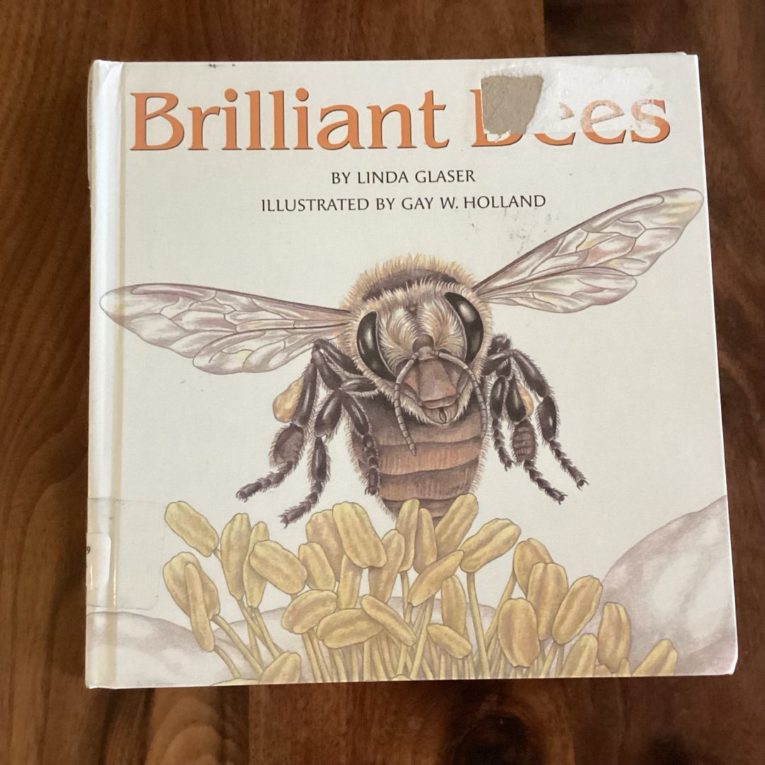 Brilliant Bees