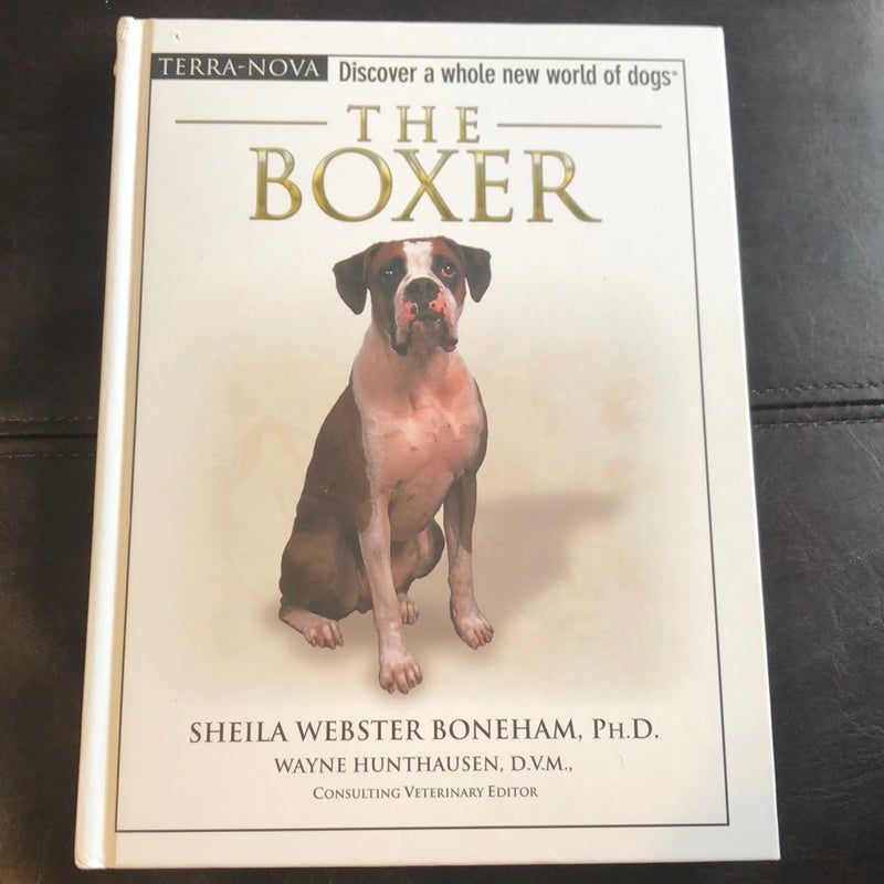 The Boxer