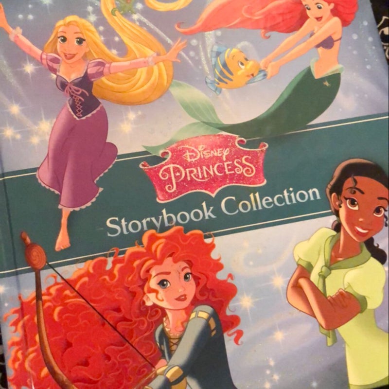 Disney Princess Storybook Collection (4th Edition)