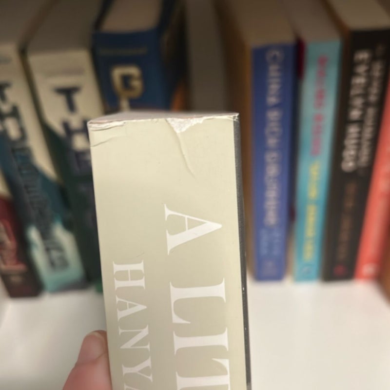 A Little Life