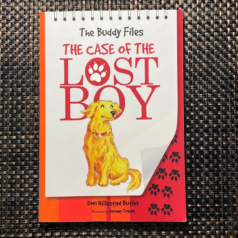 The Case of the Lost Boy