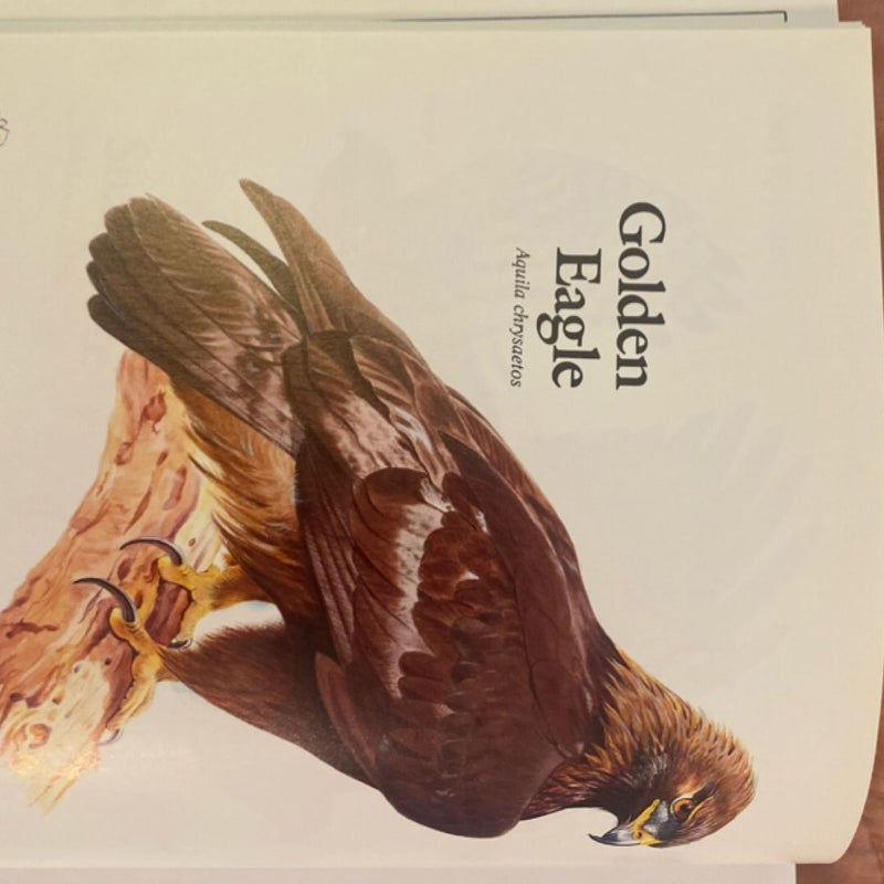 Book of North American Birds
