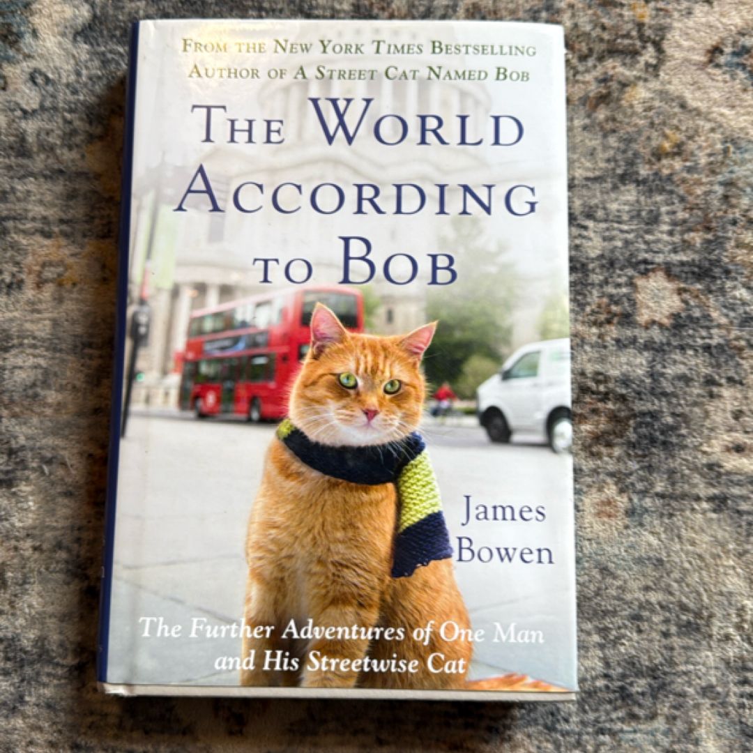 The World According to Bob