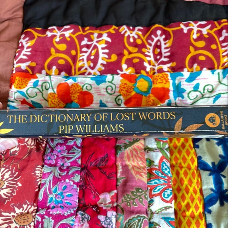 The Dictionary of Lost Words