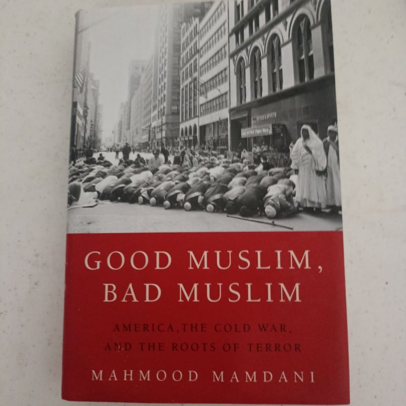 Good Muslim, Bad Muslim