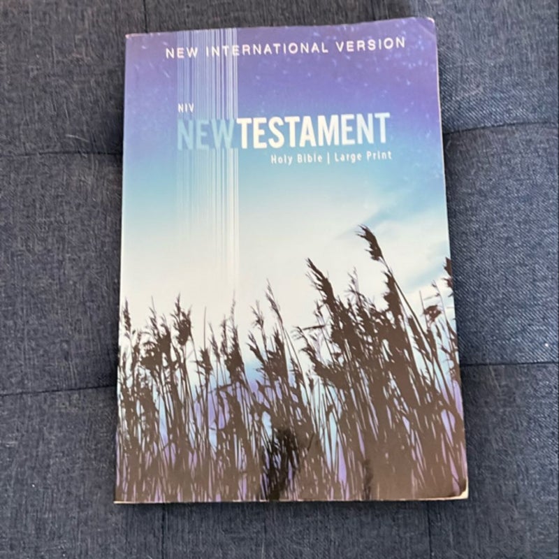 NIV Outreach New Testament [Large Print]