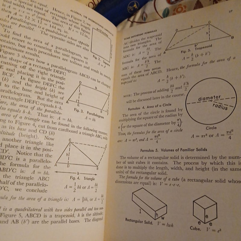 Algebra meaning and mastery