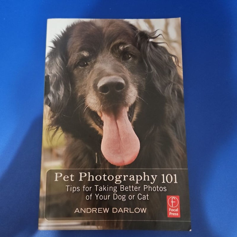 Pet Photography 101