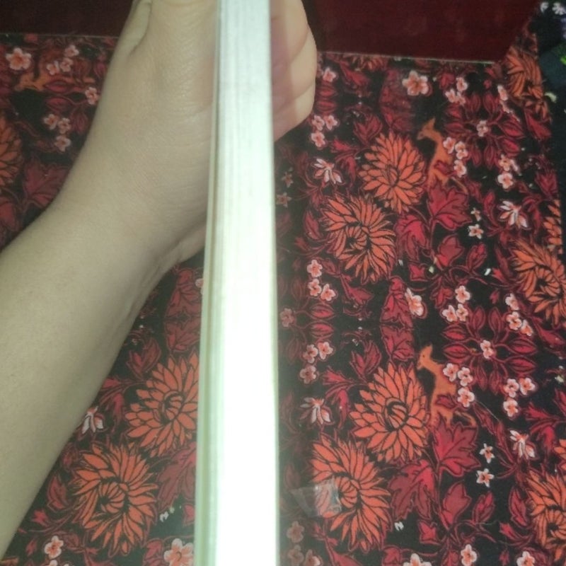 The Bible in 90 Days Participant's Guide