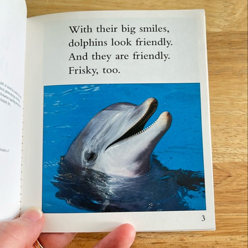 Friendly Dolphins