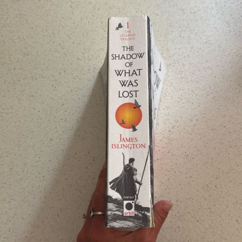 The Shadow of What Was Lost