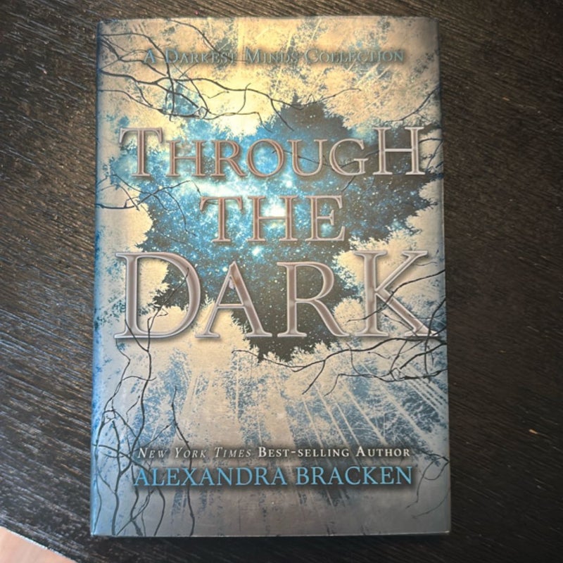 Through the Dark (a Darkest Minds Collection)