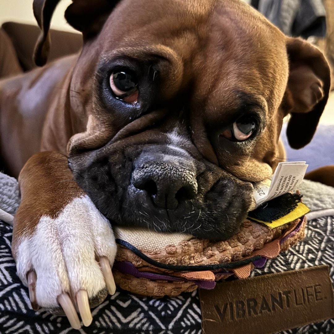Gino