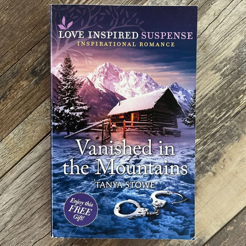 Vanished in the Mountains