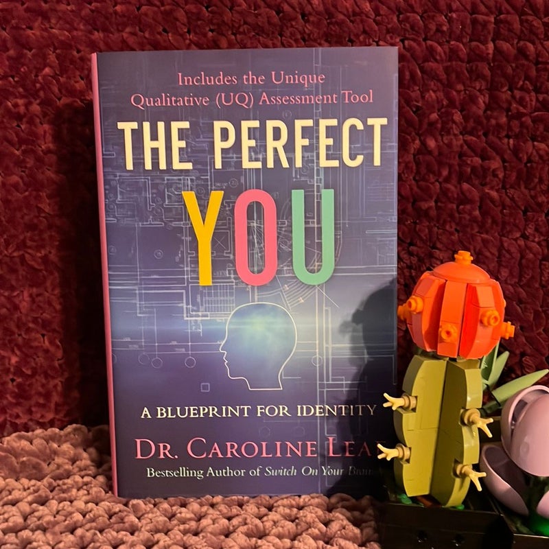 The Perfect You *Bundle* with Workbook