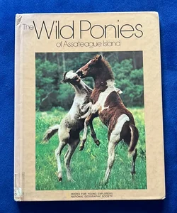 The Wild Ponies of Assateague Island
