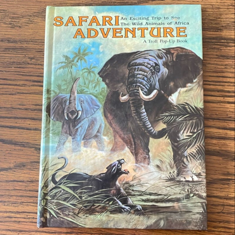 Safari Adventure 