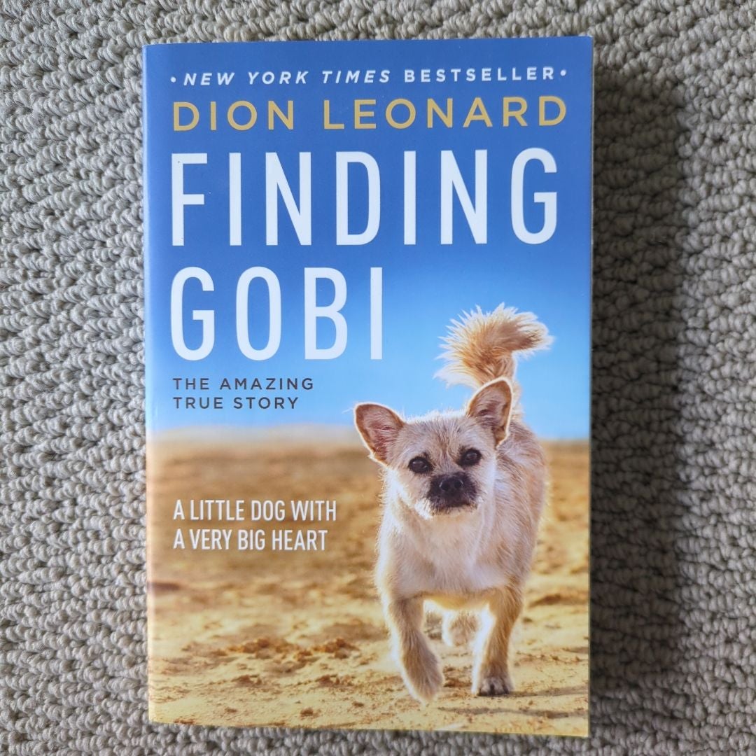 Finding Gobi