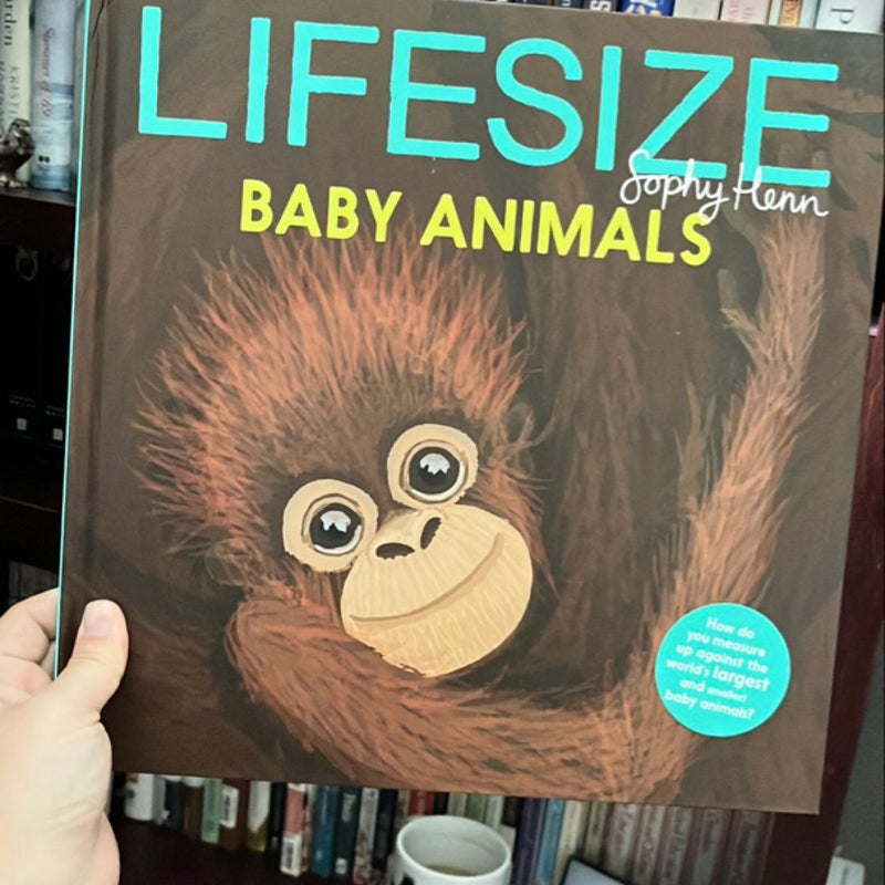 Lifesize Baby Animals