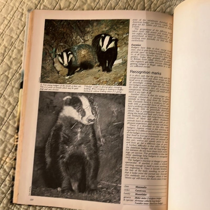 Funk & Wagnalls Wildlife Encyclopedia 