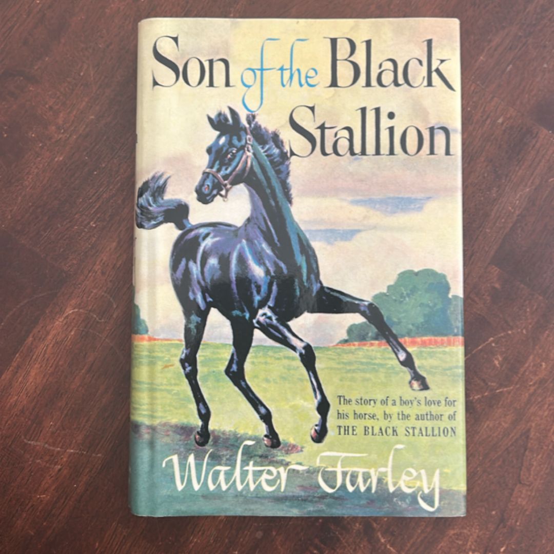 Son of the Black Stallion