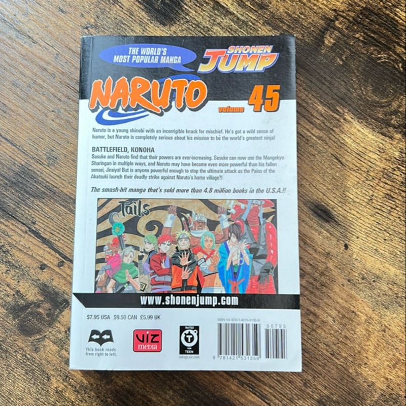 Naruto, Vol. 45