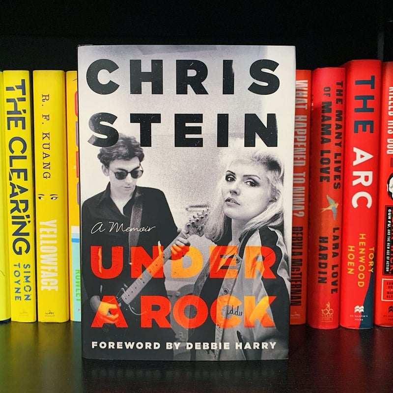 Under a Rock