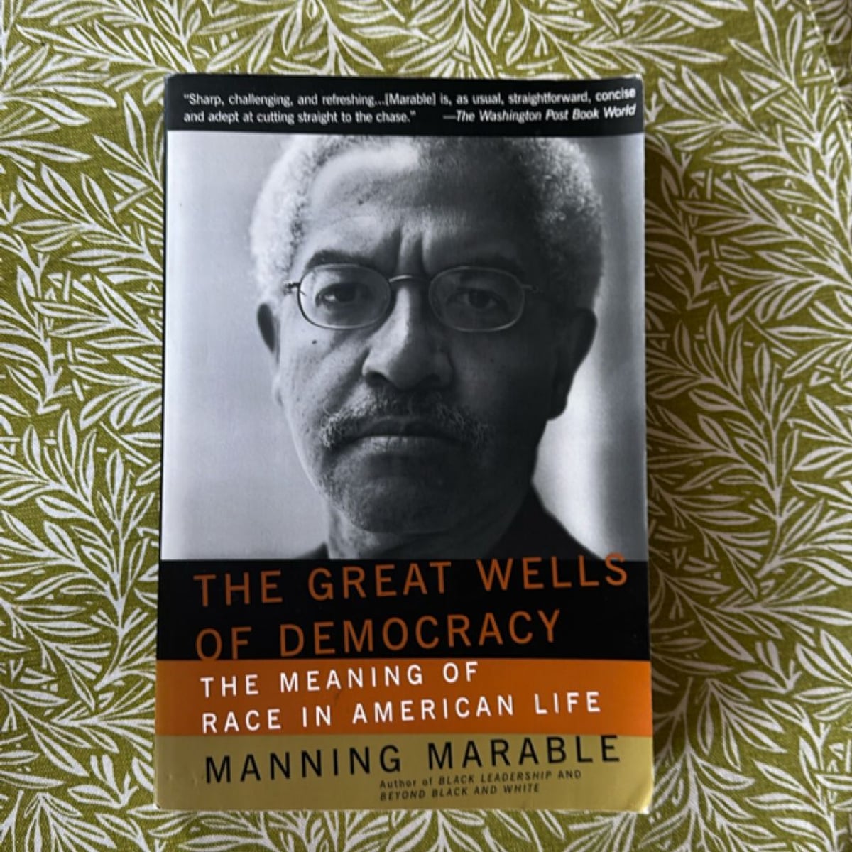The Great Wells of Democracy by Manning Marable