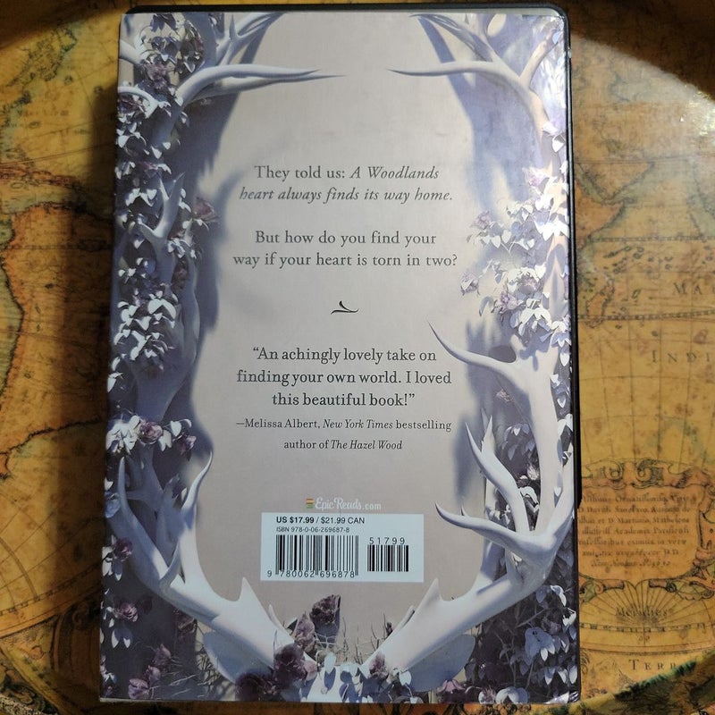 The Light Between Worlds *Signed*