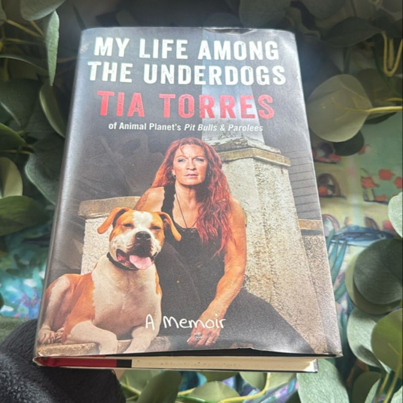 My Life among the Underdogs
