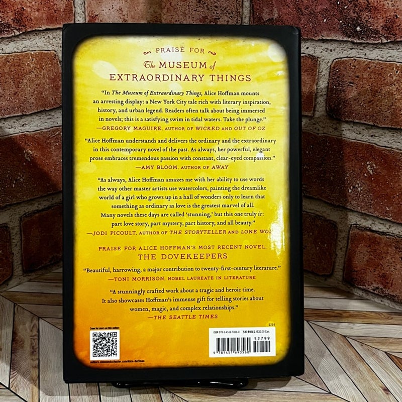 The Museum of Extraordinary Things