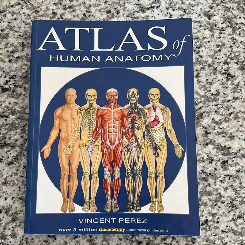 Atlas of Human Anatomy by Vincent Perez, Paperback | Pangobooks