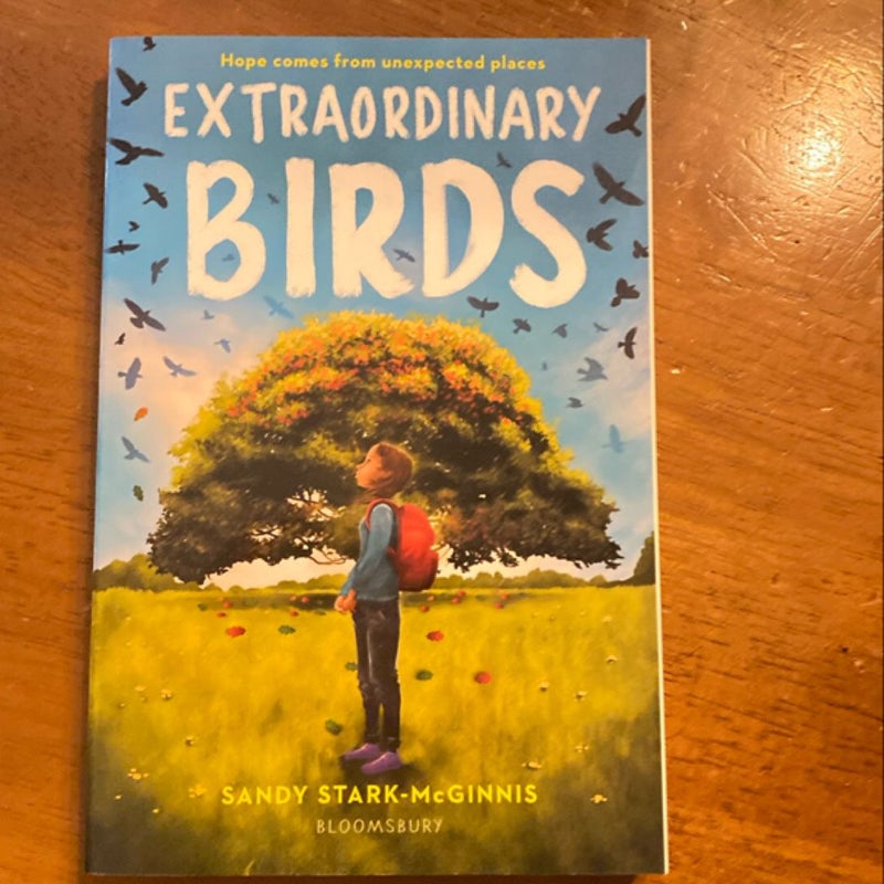 Extraordinary Birds