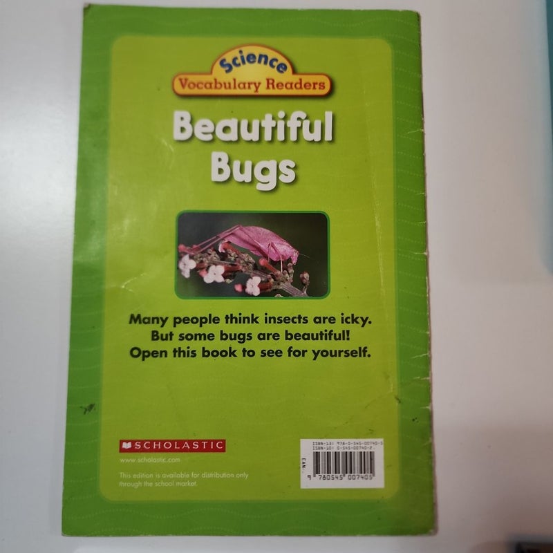Beautiful Bugs 