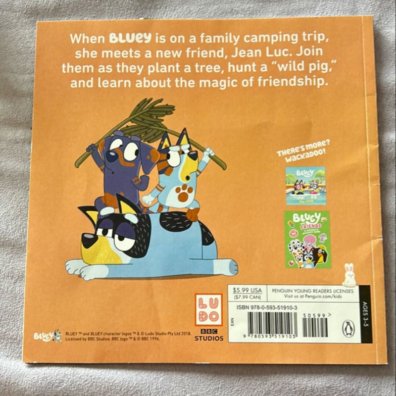 Bluey: Camping