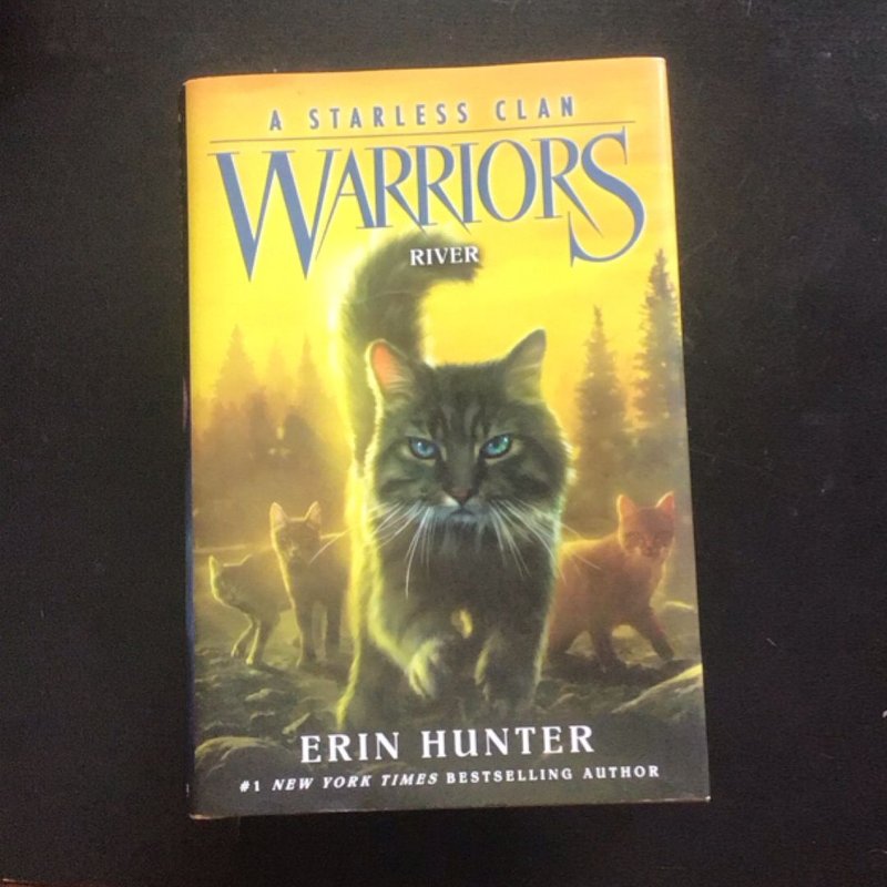 Warriors: a Starless Clan #1: River