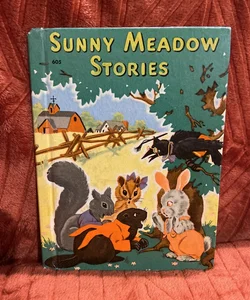  Sunny Meadows stories 