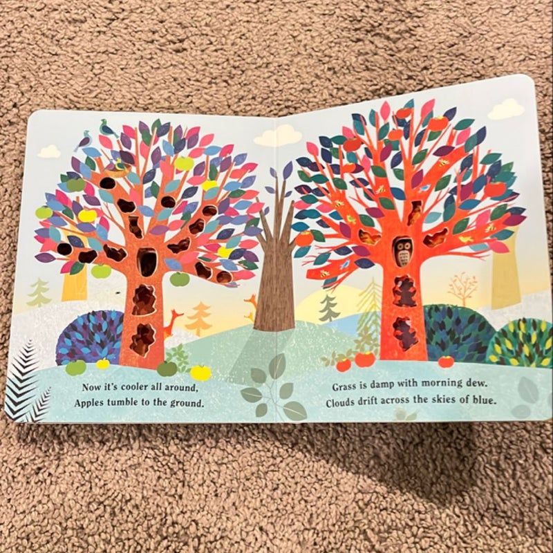 Tree: a Peek-Through Board Book