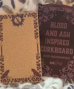 Bookish box Blood and Ash Inspired corkboard 