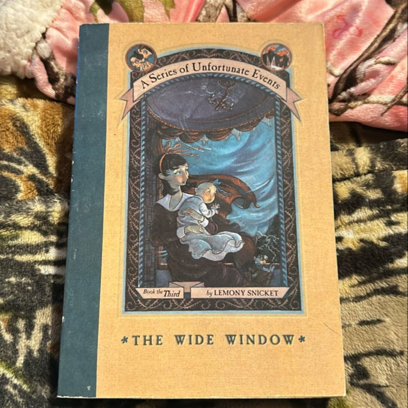 The Wide Window