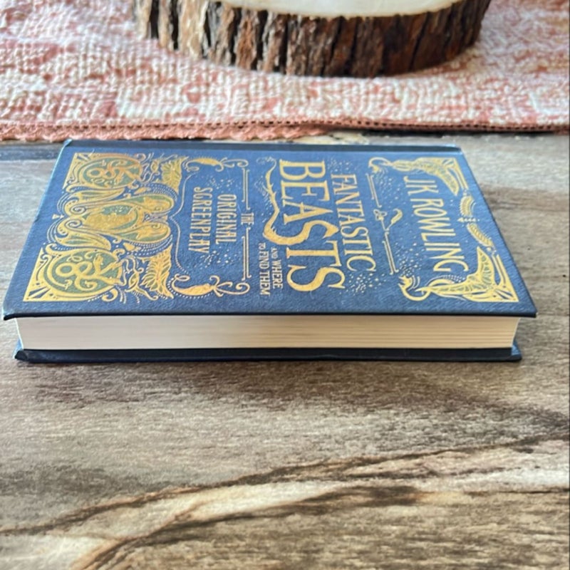 Fantastic Beasts and where to find them  the original screenplay 