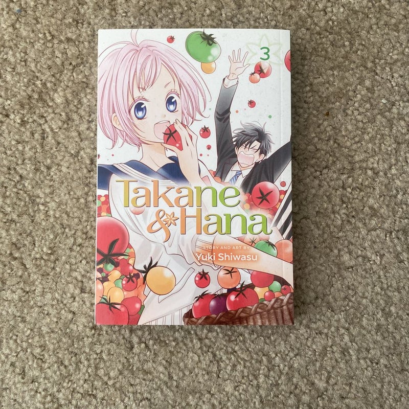 Takane and Hana, Vol. 3