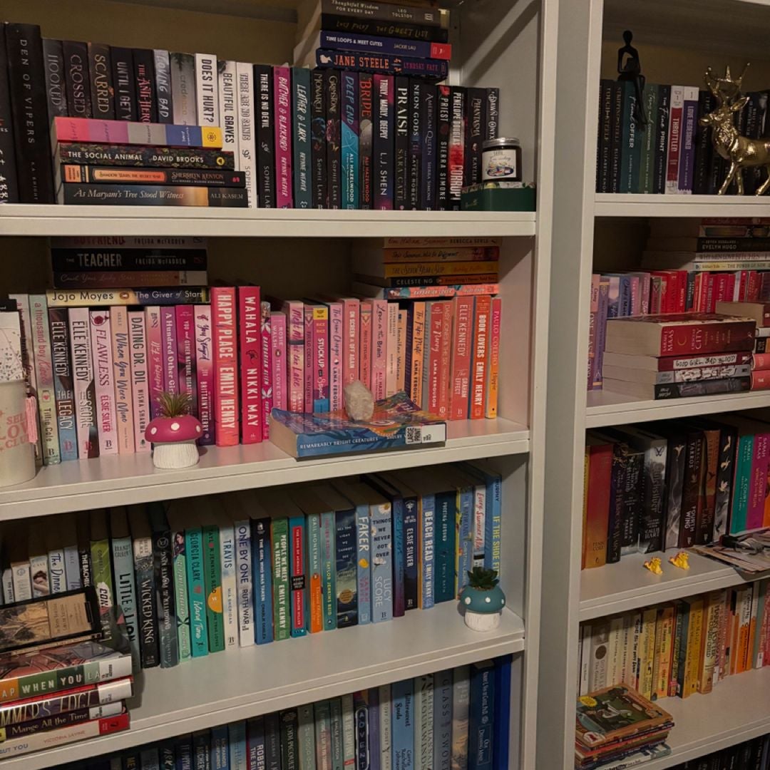 📚