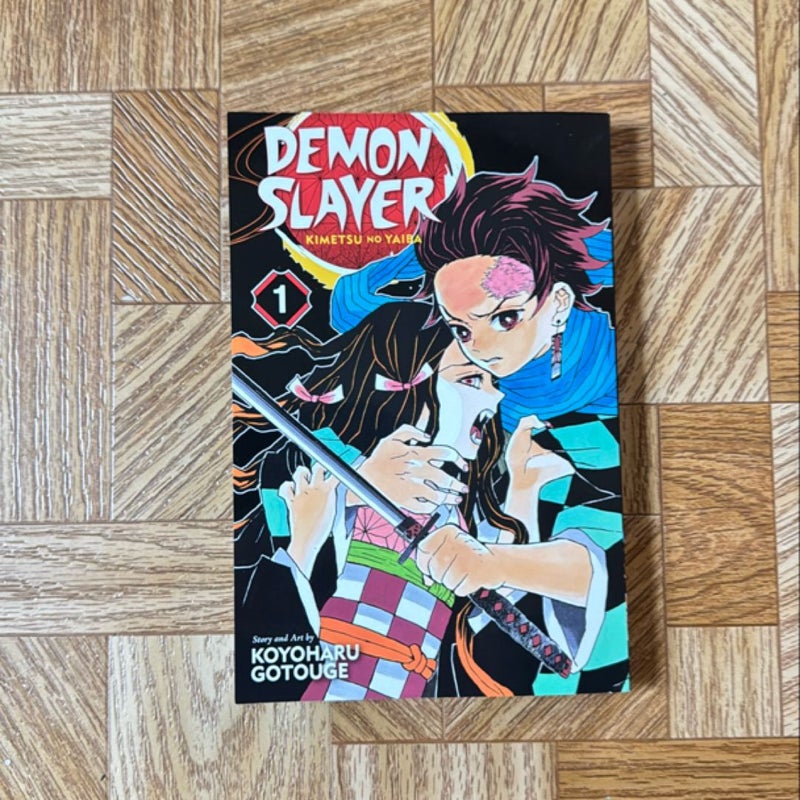 Demon Slayer: Kimetsu No Yaiba, Vol. 1