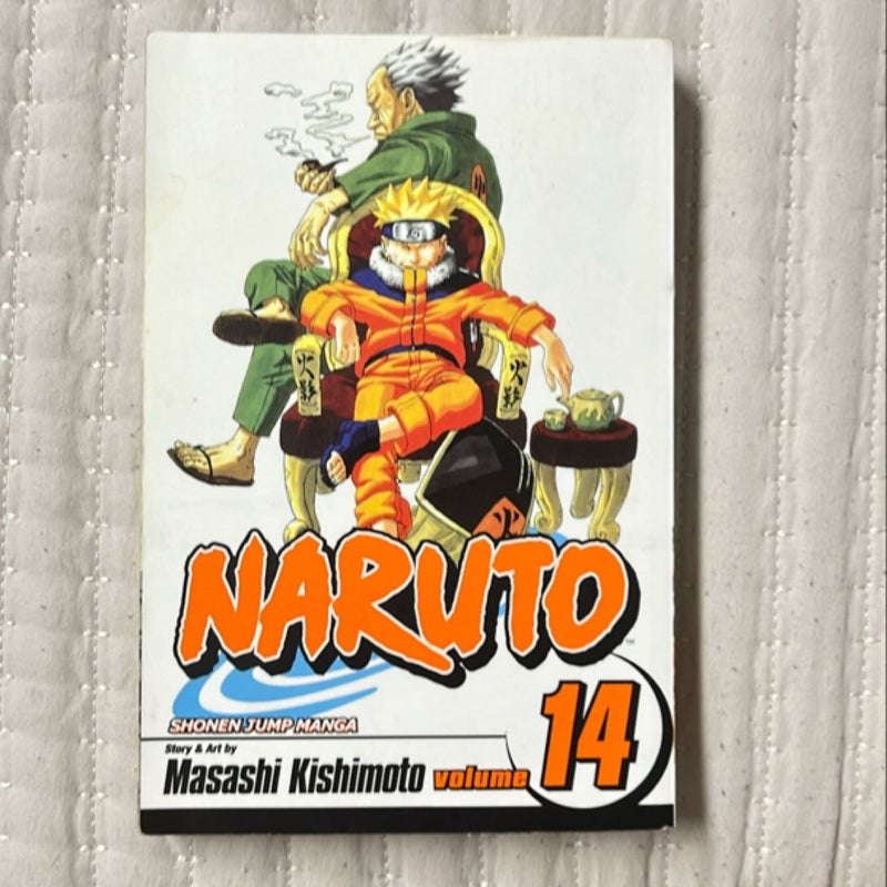 Naruto, Vol. 14