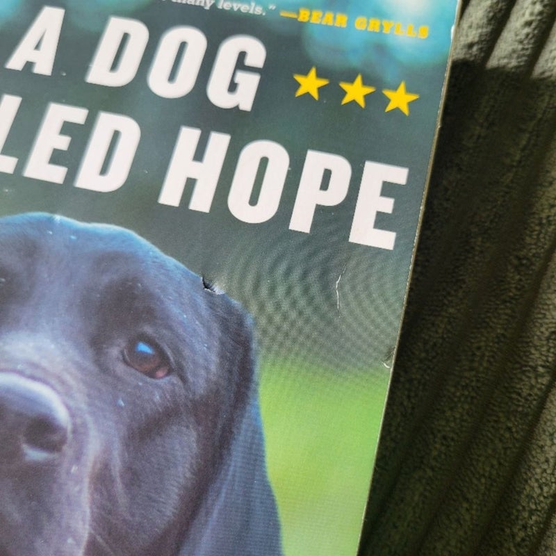 A Dog Called Hope