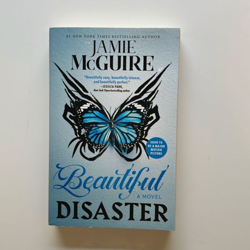 Beautiful Disaster