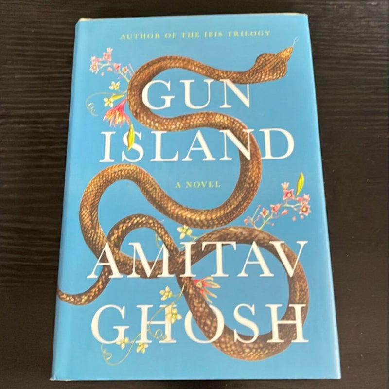 Gun Island